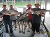 (06/25/2017) - Nice Striped Bass